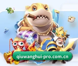 球王会的故事 - 体育资讯内容服务
